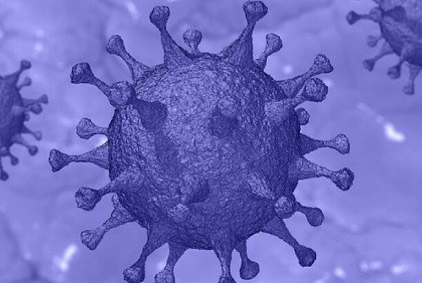 virus molecule